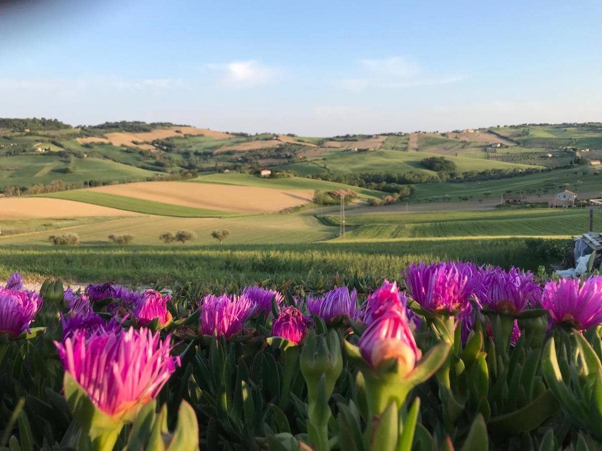 La Trave Bed & Breakfast Montecosaro  ภายนอก รูปภาพ