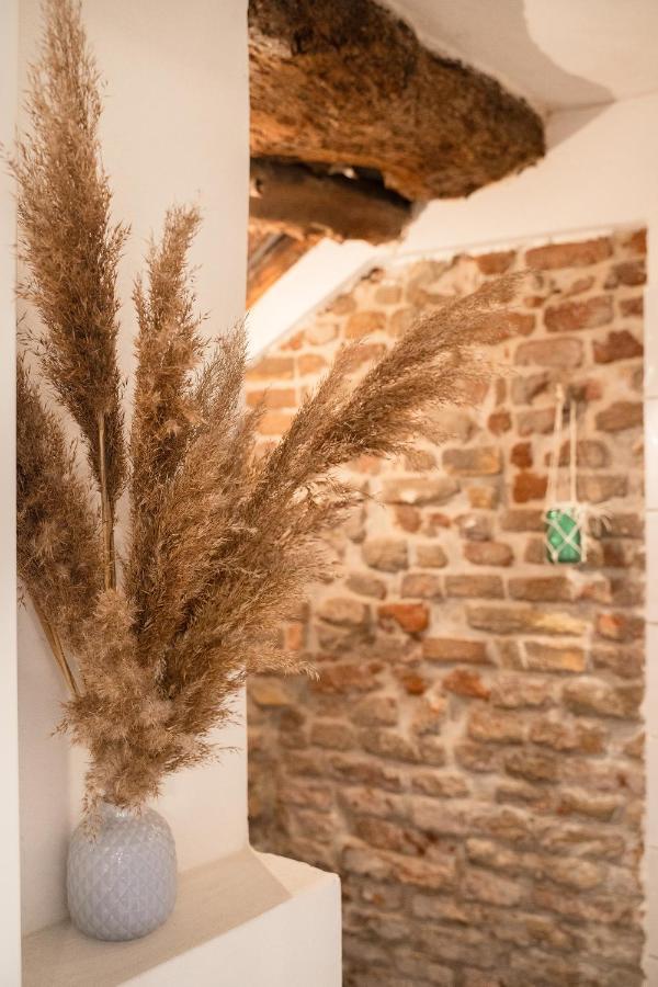 La Trave Bed & Breakfast Montecosaro  ภายนอก รูปภาพ